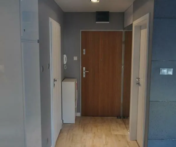 Shadow Grey Apartment